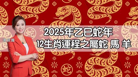 乙巳年生肖|2025乙巳蛇年12生肖全年運勢提點